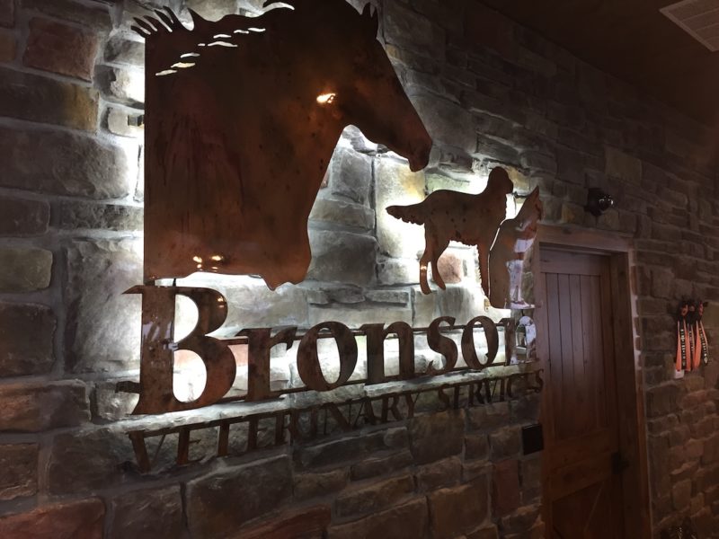 black dyed & polished concrete floor Stoy Farms