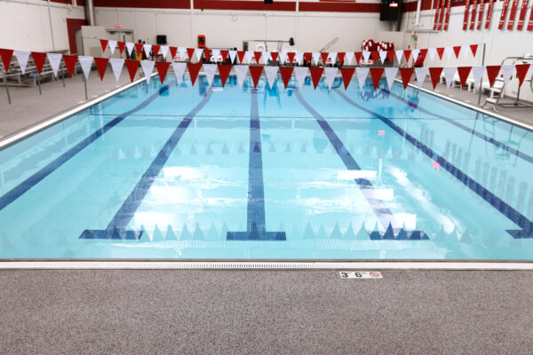 Epoxy Chip Floor TreadWell Pool Deck+